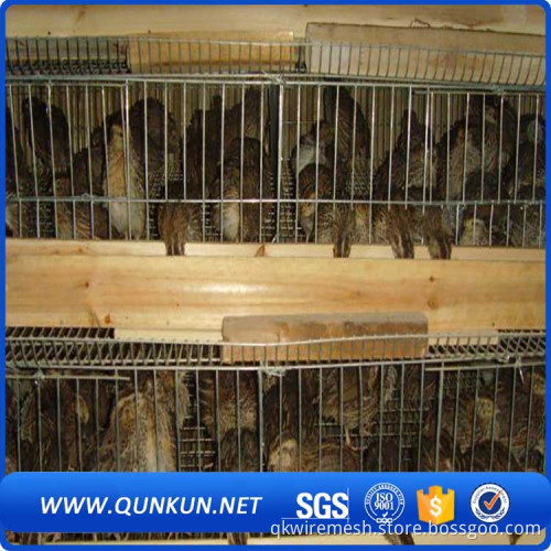 Cheap galvanized chicken cages/wire mesh quailcage sales